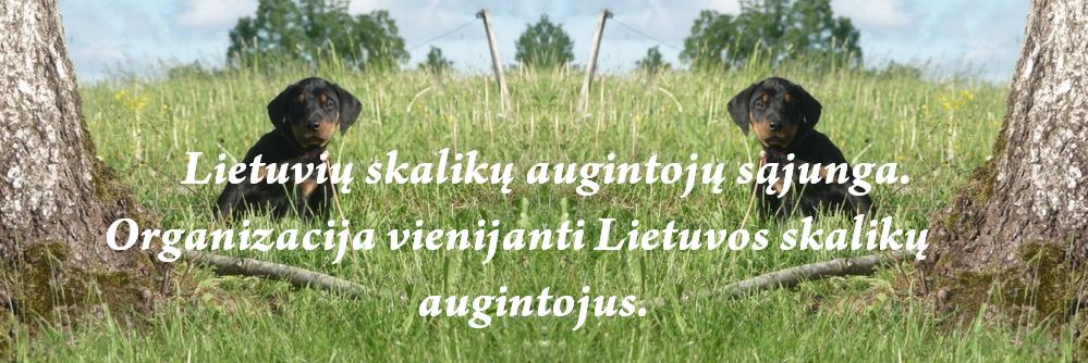 Lietuvių skalikai